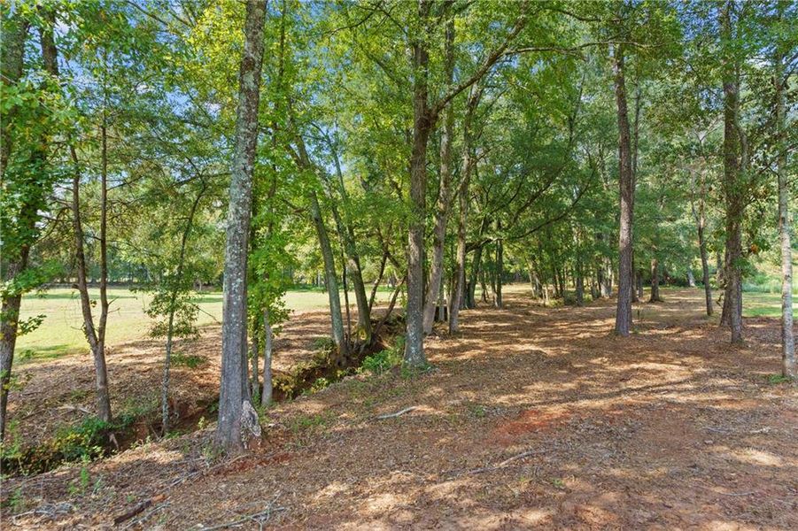 Natural landscape and outdoor views near  in Monroe (Image 50).