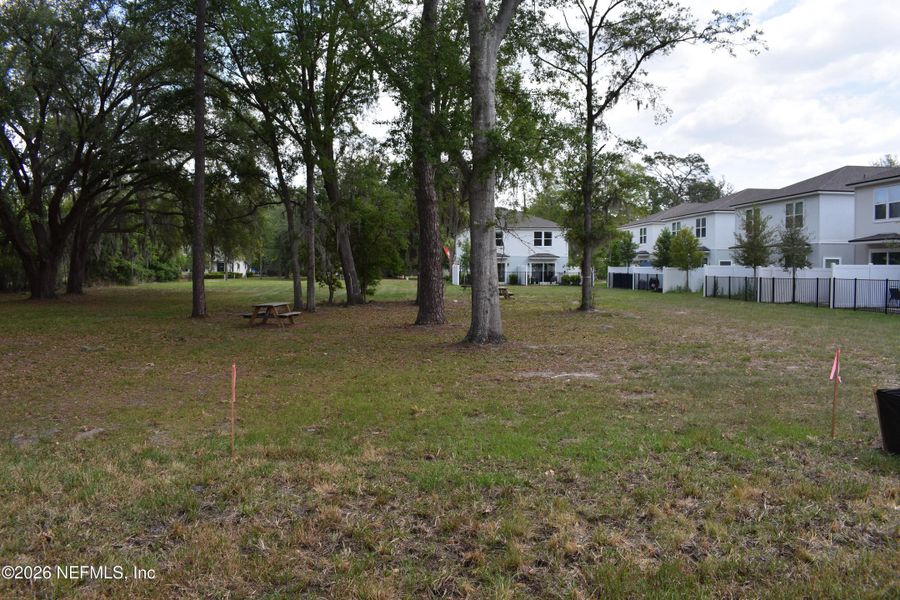 Natural landscape and outdoor views near Irongate Villas in Jacksonville (Image 32).