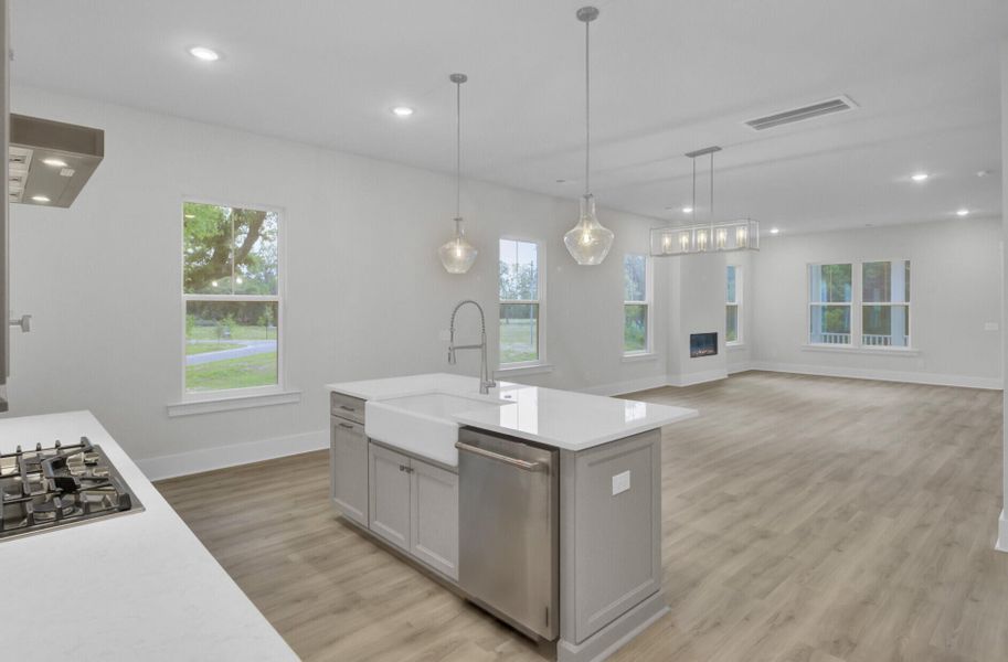 Furnished interior view inside a new home in Indigo Grove Single Family Homes, Johns Island (Image 10).
