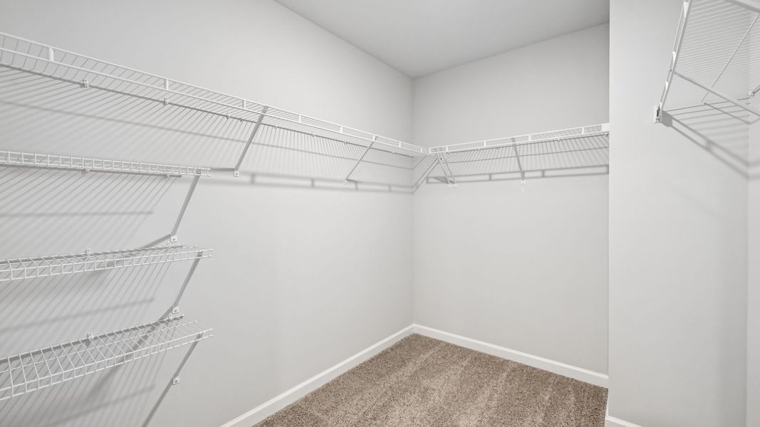 Spacious, unfurnished interior of a new home in Paddington Place, Baxter (Image 29).