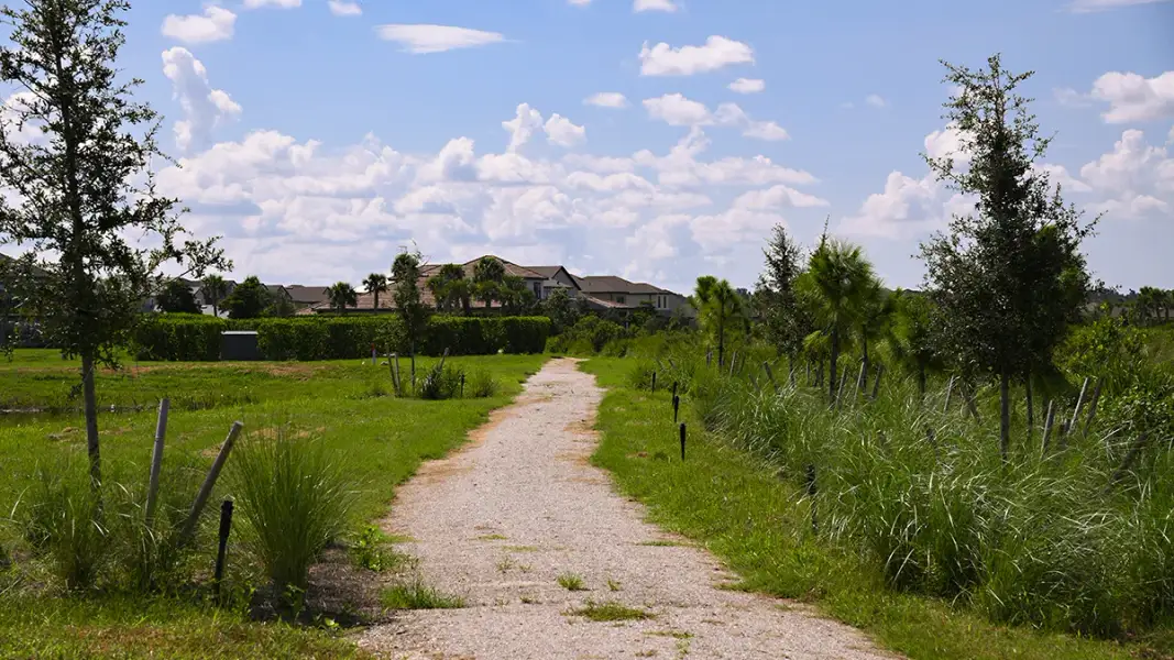 Natural landscape and outdoor views near Skye Ranch Community Group Page in Sarasota (Image 52). Natural landscape and outdoor views near Skye Ranch Community Group Page in Sarasota (Image 52).