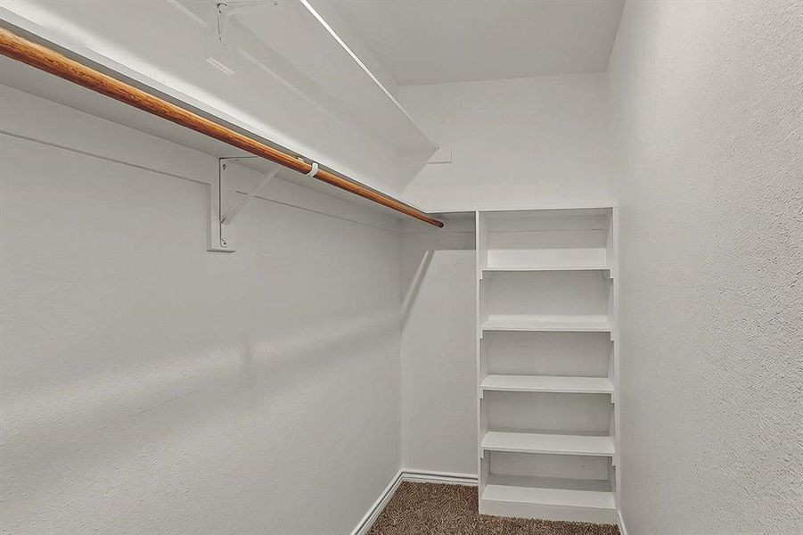Spacious closet featuring carpet Spacious closet featuring carpet