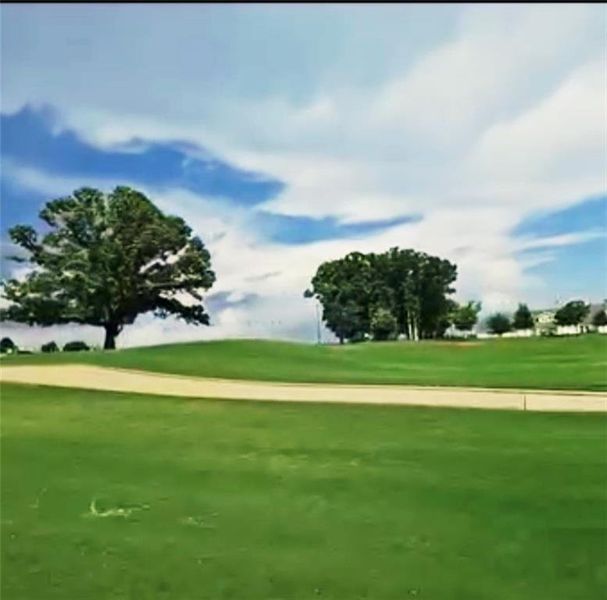 Natural landscape and outdoor views near in Homer (Image 59). Natural landscape and outdoor views near in Homer (Image 59).