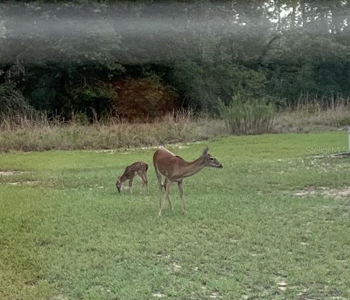 Image 51 of a home in .