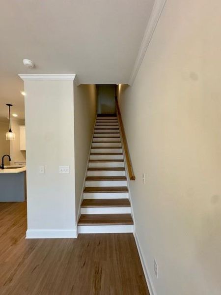 Spacious, unfurnished interior of a new home in Medlock Park, Austell (Image 50).