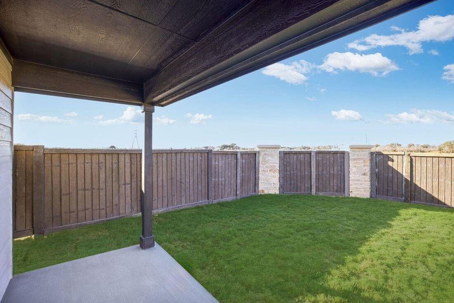 26814 Celestial Cypress ~ Ready Now