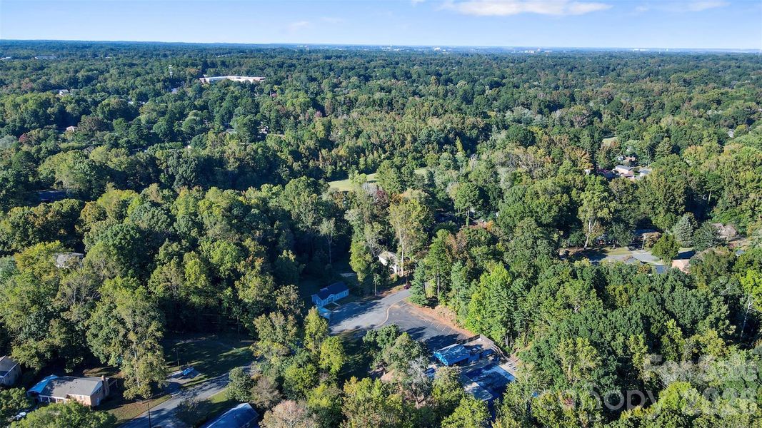Natural landscape and outdoor views near  in Charlotte (Image 32).