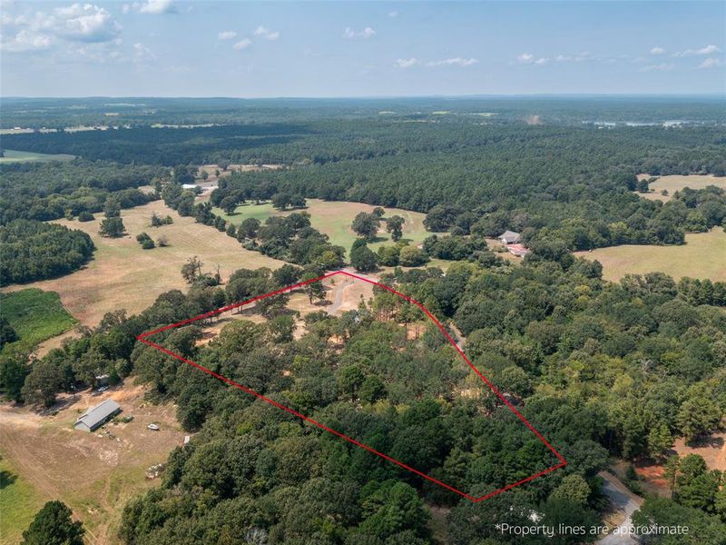 Aerial view of property's location featuring a heavily wooded area and property boundaries highlighted