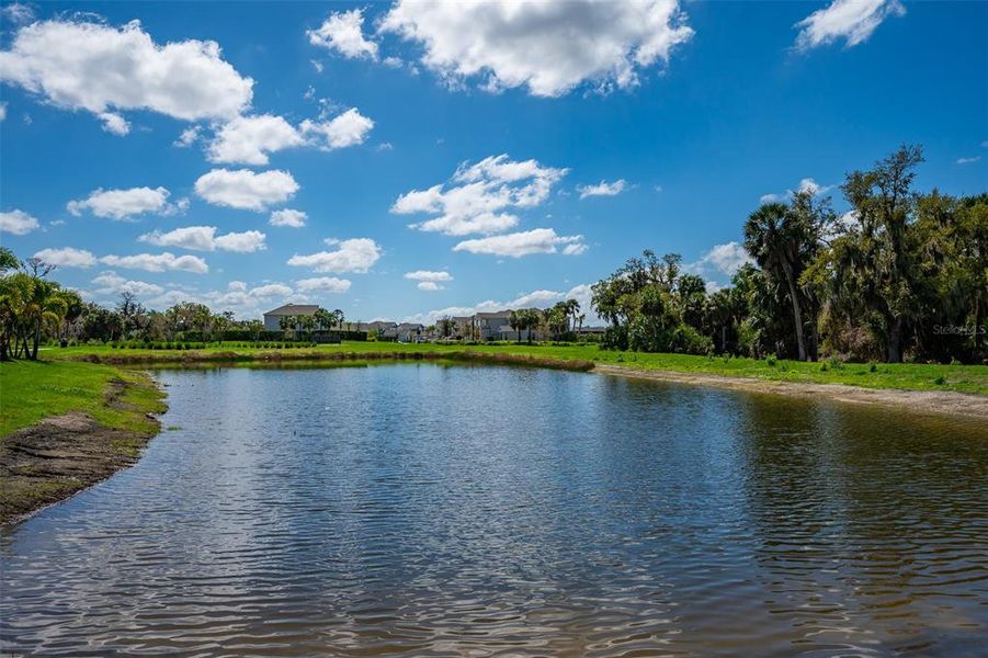 Natural landscape and outdoor views near  in Sarasota (Image 61).