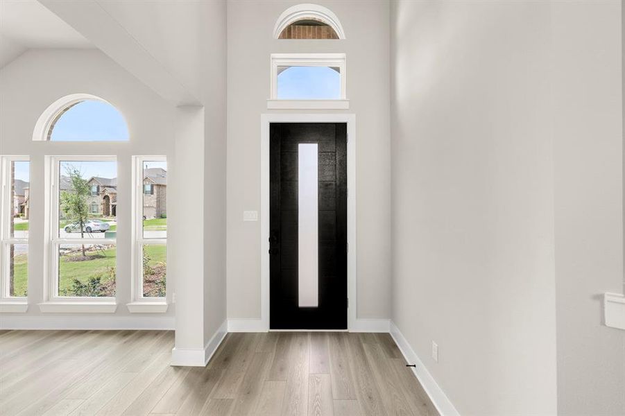 03. 941 Gold Finch - Entry