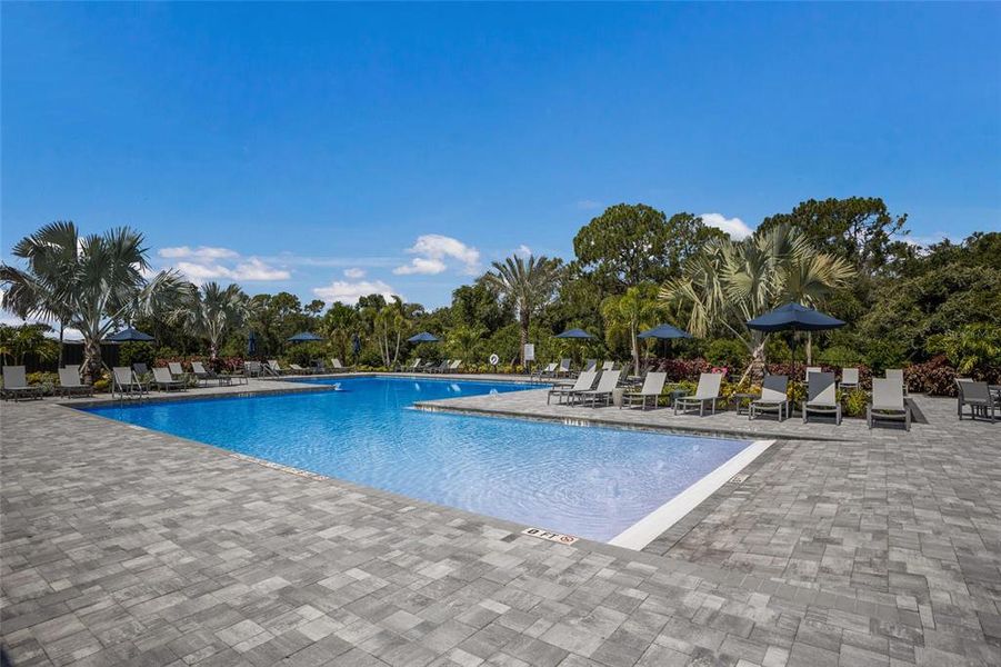 Community amenities in , Lakewood Ranch (Image 61).