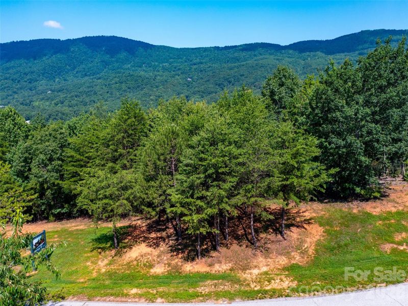 Natural landscape and outdoor views near  in Mill Spring (Image 12).