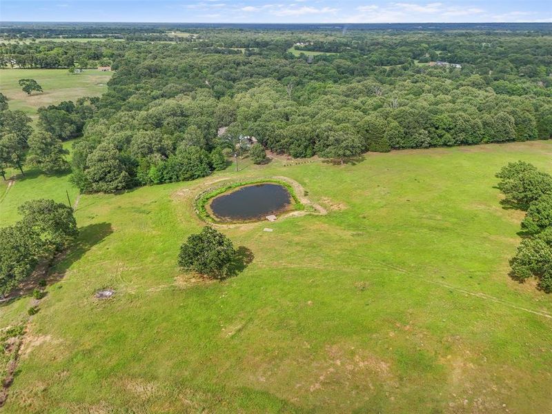 Natural landscape and outdoor views near  in Edgewood (Image 37).