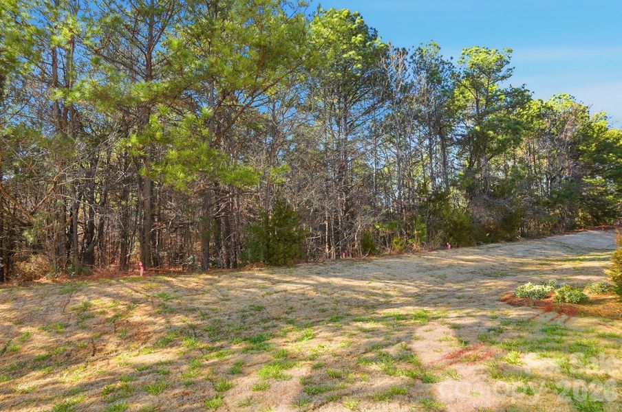 Natural landscape and outdoor views near  in Waxhaw (Image 35).
