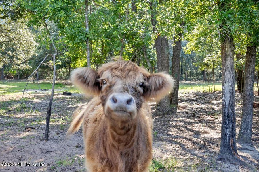 Image 37 of a home in .