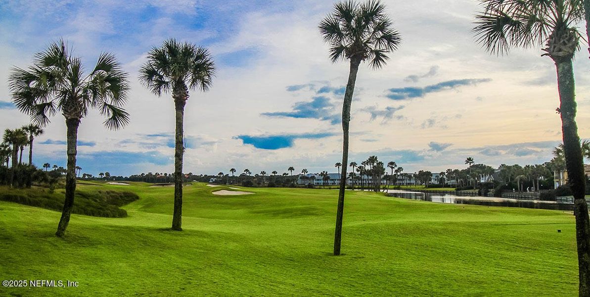 Natural landscape and outdoor views near  in Ponte Vedra Beach (Image 44).