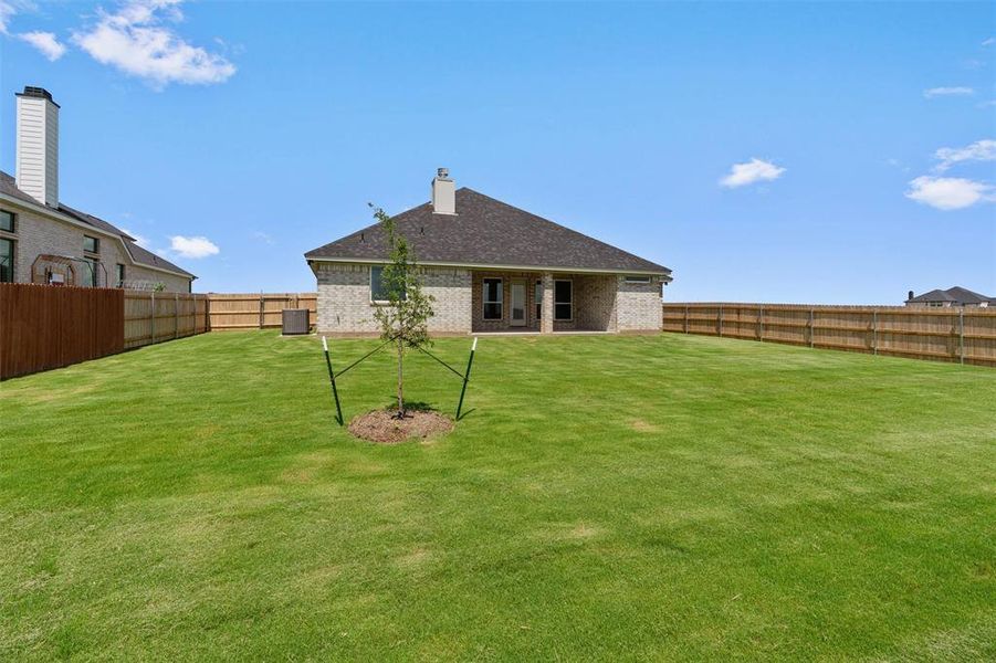 Expansive backyard featuring a manicured lawn, a young tree, and a full privacy fence Expansive backyard featuring a manicured lawn, a young tree, and a full privacy fence
