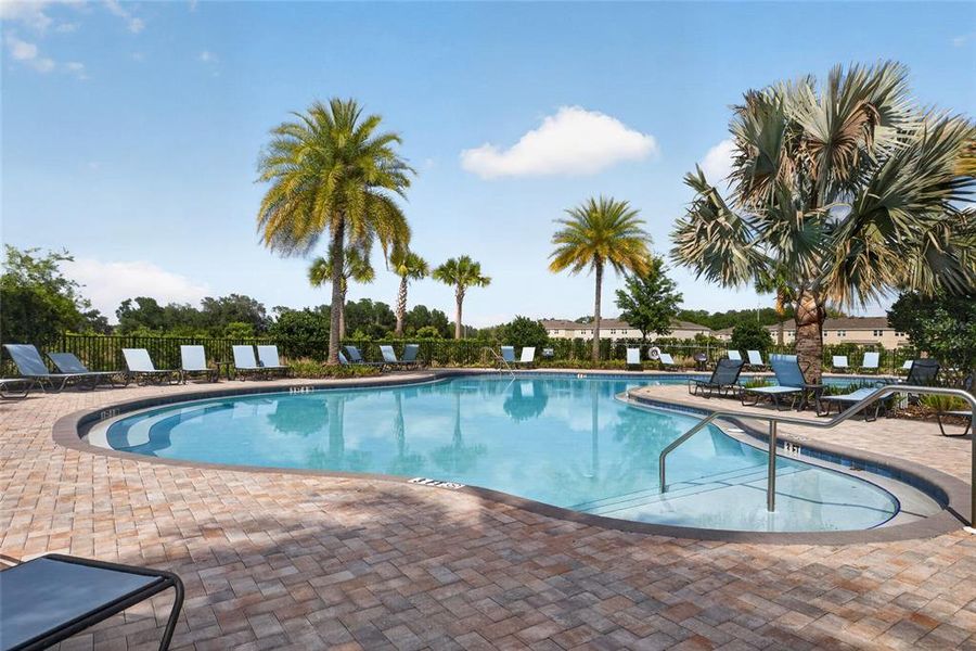 Community amenities in , Wesley Chapel (Image 42).