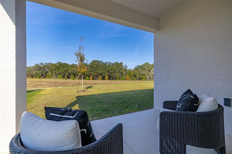 Exterior details and patio area of a home in Reserve at Hammock Oaks, Lady Lake (Image 3). Exterior details and patio area of a home in Reserve at Hammock Oaks, Lady Lake (Image 3).