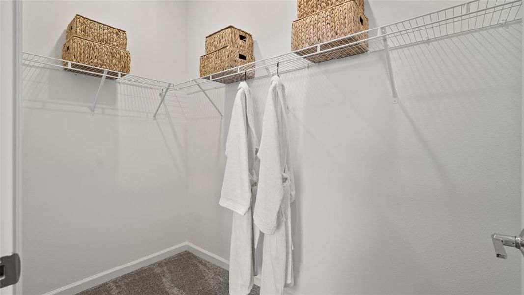 Walk in closet featuring carpet floors Walk in closet featuring carpet floors