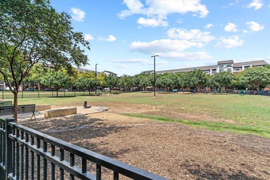 Outdoor common area featuring curvilinear concrete pathways and circular grass mounds