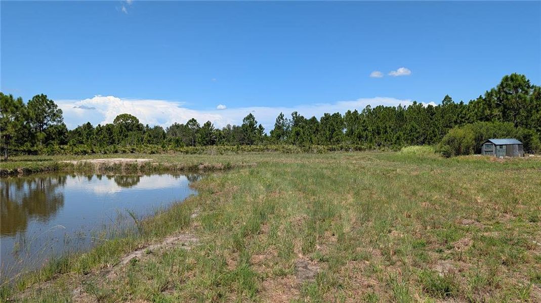 Natural landscape and outdoor views near  in Punta Gorda (Image 39).