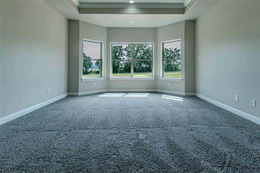 Carpeted spare room with ornamental molding and a raised ceiling