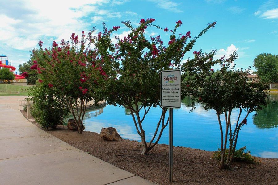 Image 44 of a home in Sahuarita Acres. Image 44 of a home in Sahuarita Acres.
