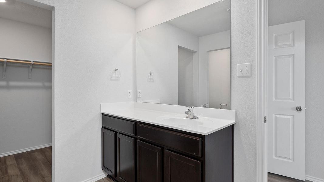 Bathroom with dark wood-style flooring, a walk in closet, and vanity