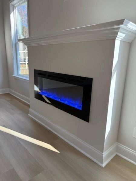 Close-up of interior finishes inside a home in Cooper's Walk, Loganville (Image 9).