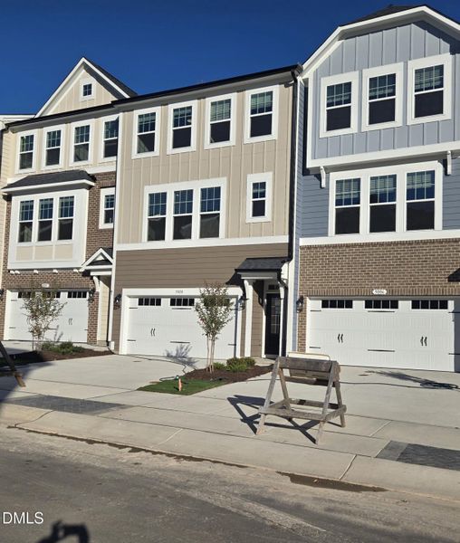 1000016439 1000016439