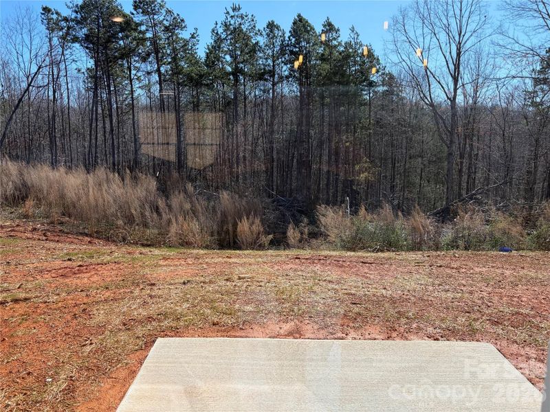 Site preparation for new homesites in , Albemarle (Image 19). Site preparation for new homesites in , Albemarle (Image 19).
