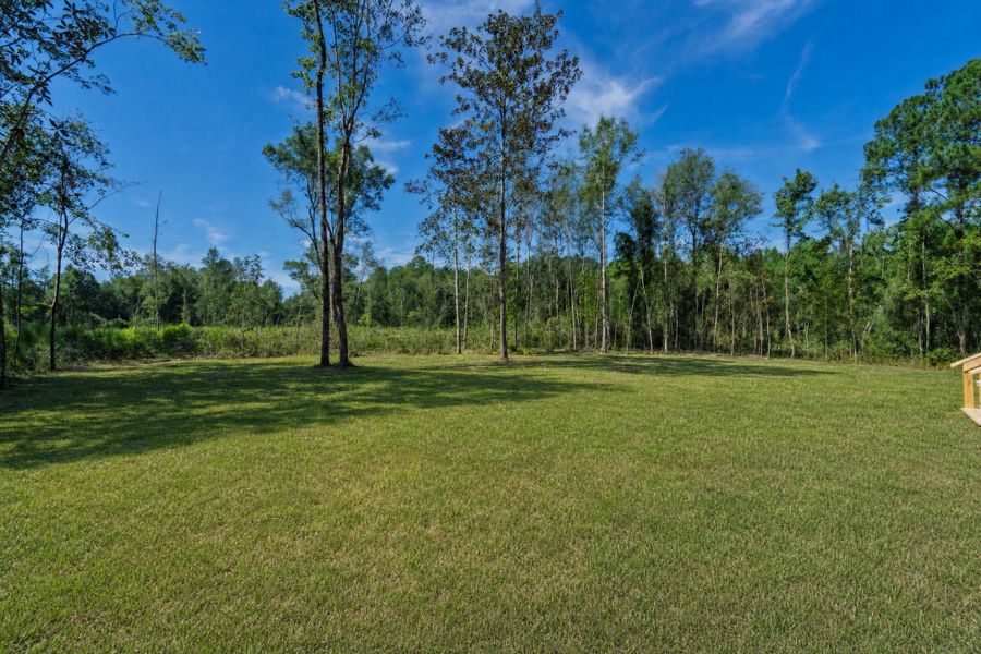 Natural landscape and outdoor views near  in Walterboro (Image 26).