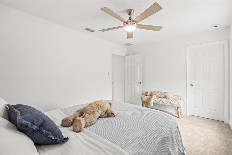 Functional Guest Suite Design with Large Closet and Easy Access