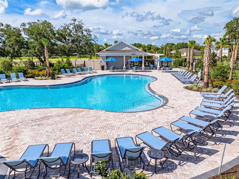 Community amenities in Palm Wind, Hudson (Image 31).