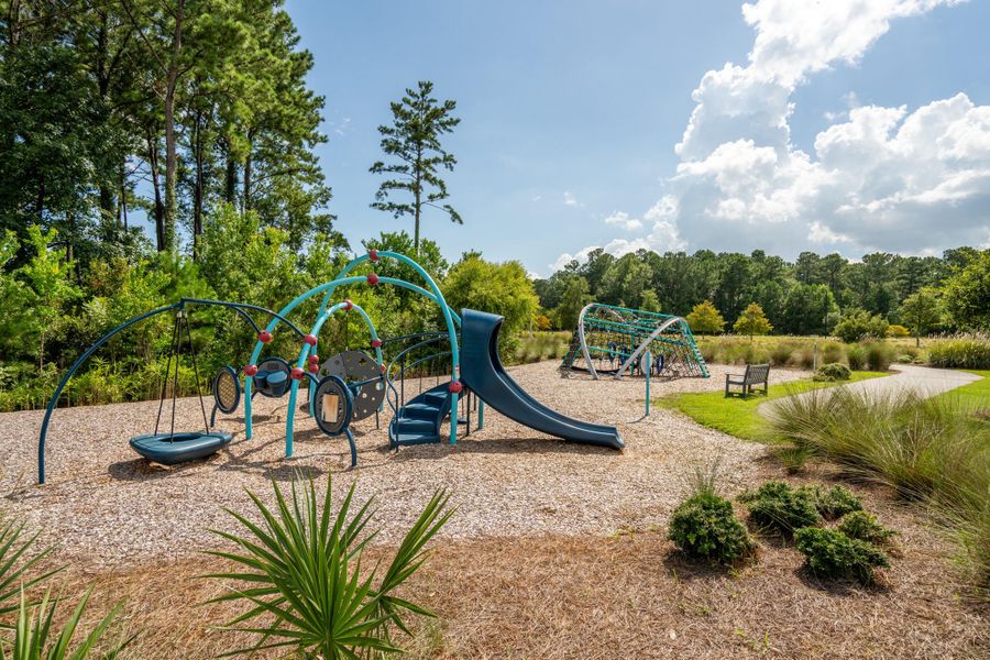 Community amenities in , Charleston (Image 34).