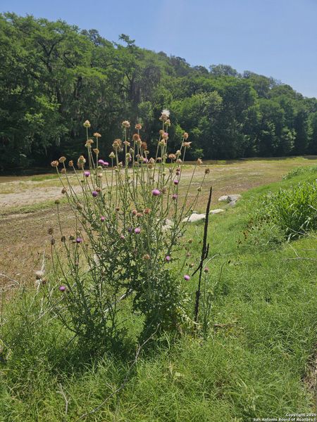 Image 12 of a home in . Image 12 of a home in .