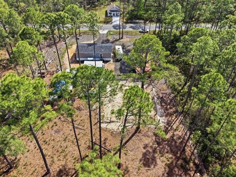 Natural landscape and outdoor views near  in Bunnell (Image 35).
