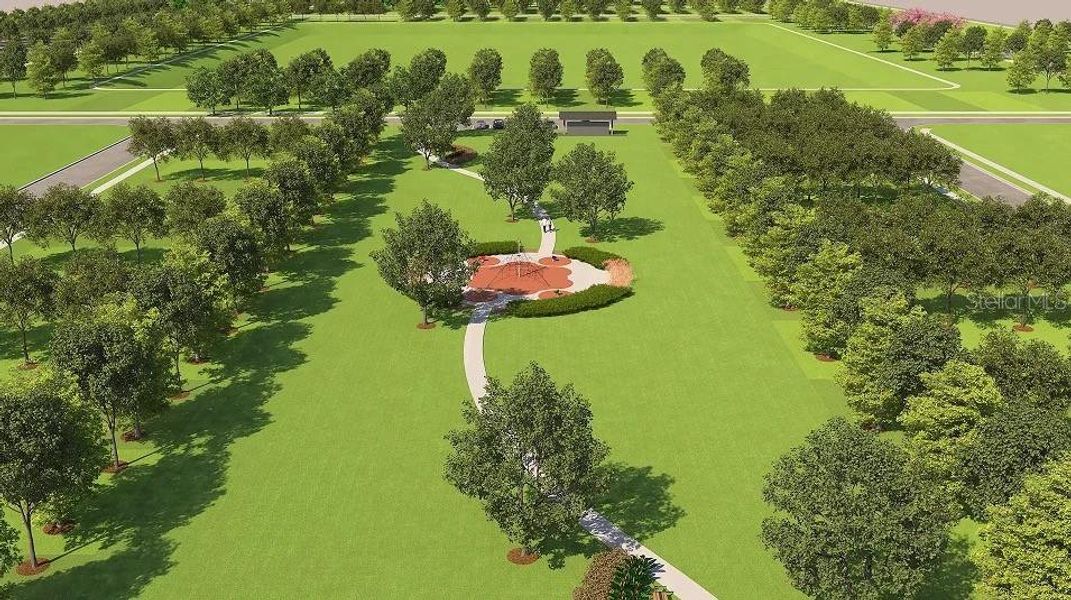 Natural landscape and outdoor views near Hunt Club Groves in Lake Wales (Image 30).