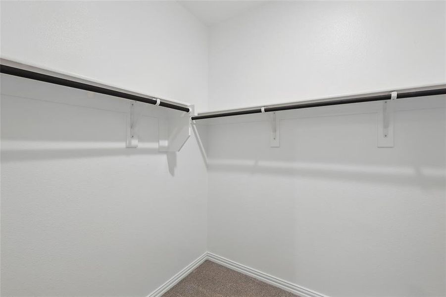 Walk in closet with carpet floors