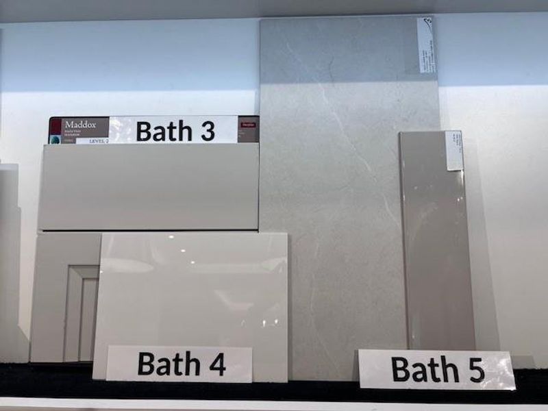 Image 5 of a home in Elyson 45' & 70'. Image 5 of a home in Elyson 45' & 70'.