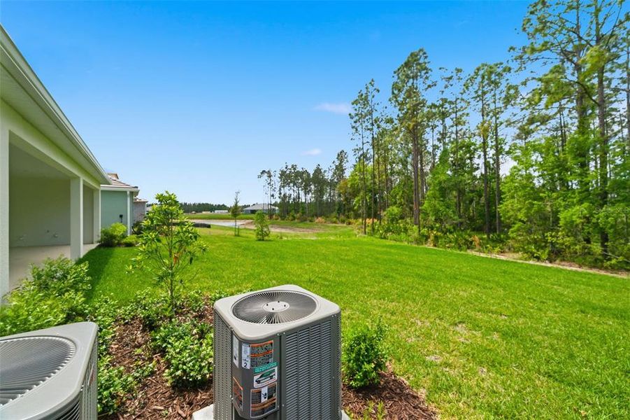 Exterior details and patio area of a home in Hammock at Two Rivers, Zephyrhills (Image 36).