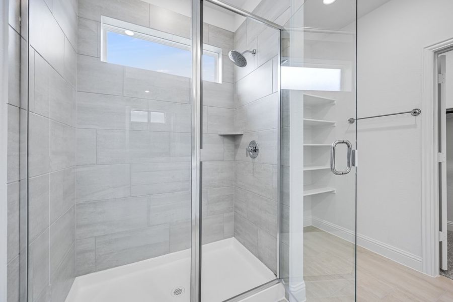 Image 28 of a home in Madero 50s. Image 28 of a home in Madero 50s.