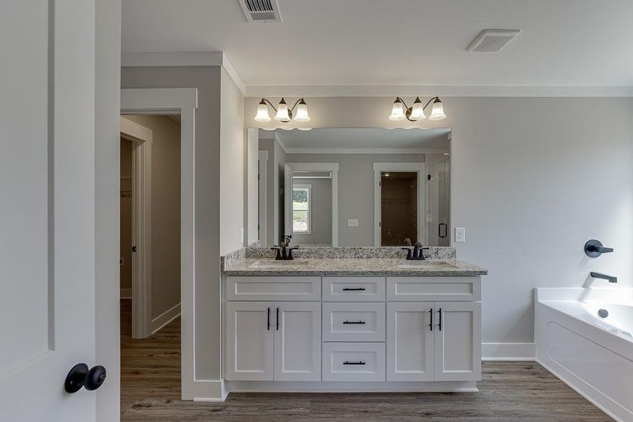 Furnished interior view inside a new home in , Hartwell (Image 6). Furnished interior view inside a new home in , Hartwell (Image 6).