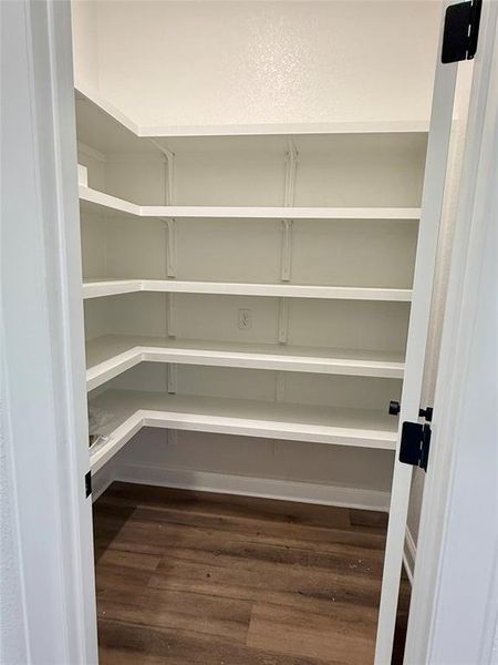 Spacious pantry featuring extensive white shelving, wood-finish flooring, and crisp white trim