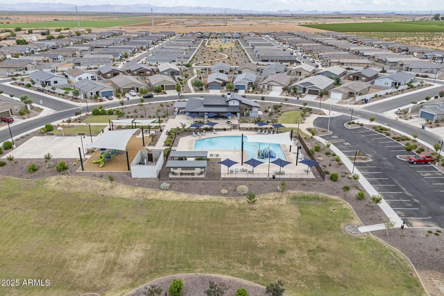 55-web-or-mls-Bee-1 55-web-or-mls-Bee-1