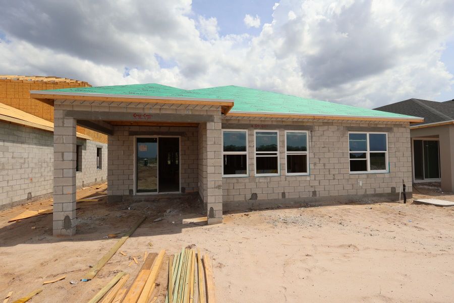 Back Exterior