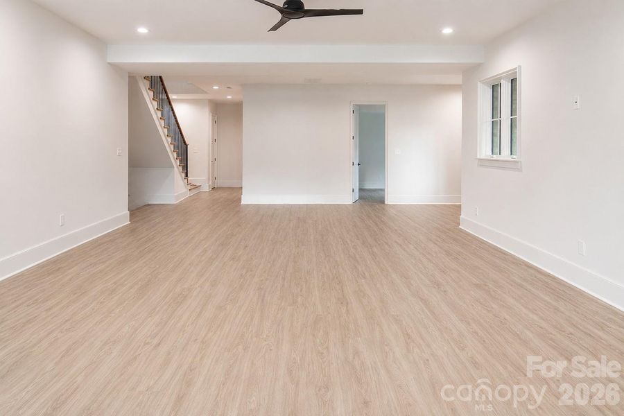 downstairs flex space
