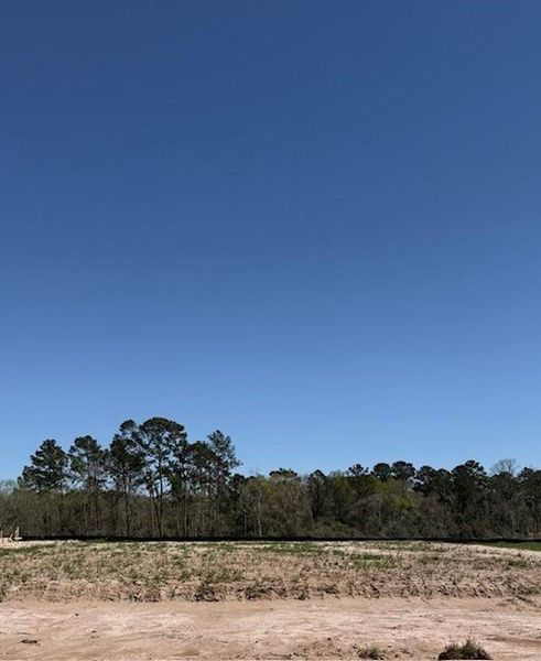 Site preparation for new homesites in The Meadows at Imperial Oaks, Spring (Image 6). Site preparation for new homesites in The Meadows at Imperial Oaks, Spring (Image 6).