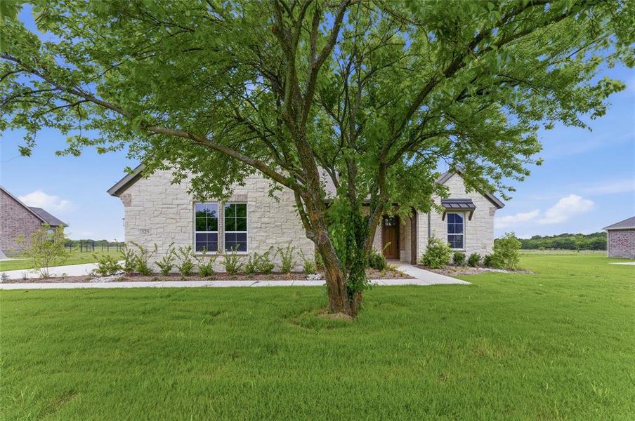 Stone facade residence with a wood-finish front door, arched window awning, and a prominent mature tree in the front yard